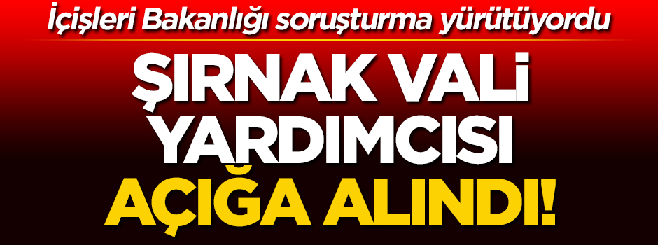 Şırnak Vali Yardımcısı Adem Ergül açığa alındı!