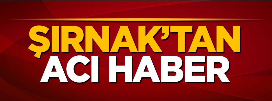 Şırnak'tan kahreden haber: 1 şehit