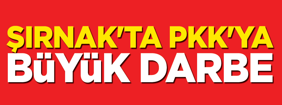 Şırnak'ta 11 terörist öldürüldü