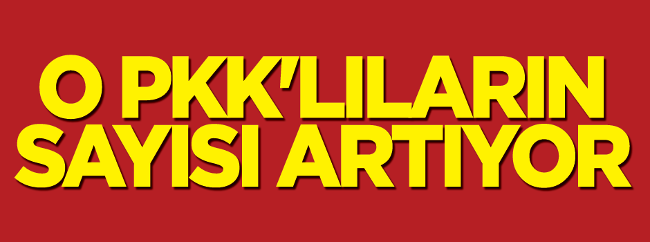 Şırnak’ta 8 PKK’lı daha teslim oldu