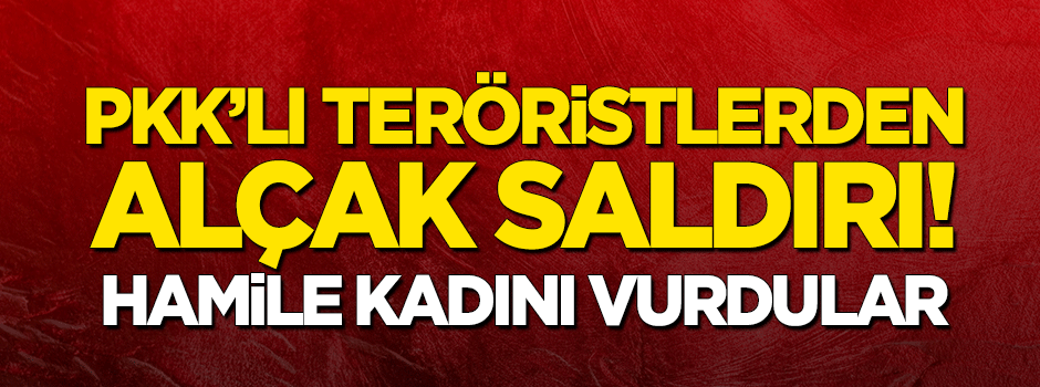 Şırnak'ta alçak saldırı: Teröristler hamile kadını vurdu!