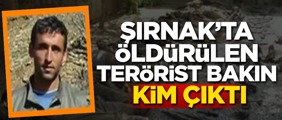 Şırnak'ta öldürülen terörist bakın kim çıktı