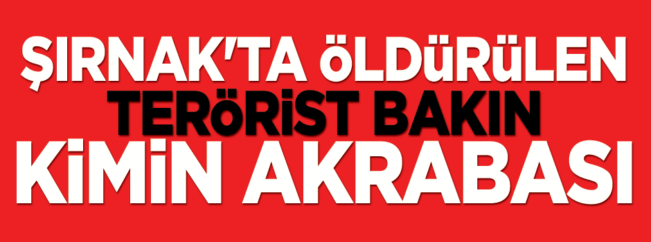 Şırnak'ta öldürülen terörist bakın kimin akrabası!