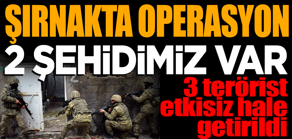 Şırnak'ta operasyon: 2 jandarma şehit oldu, 3 terörist etkisiz hale getirildi