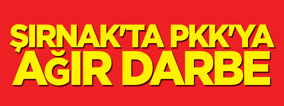 Şırnak'ta PKK'ya ağır darbe