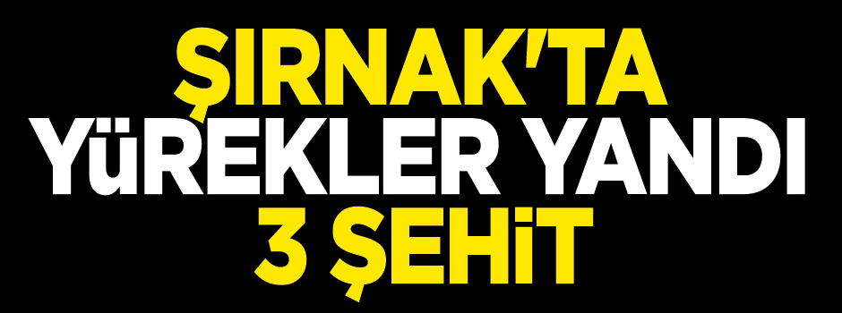 Şırnak’ta polise hain saldırı: 3 şehit