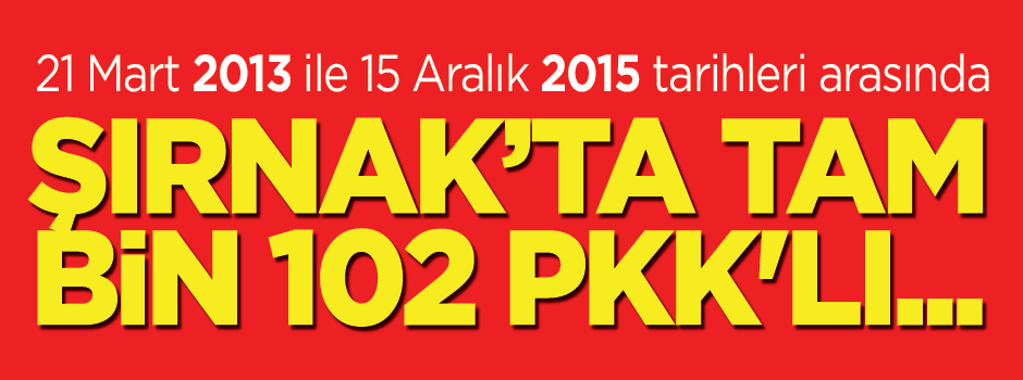 Şırnak’ta tam bin 102 PKK'lı...
