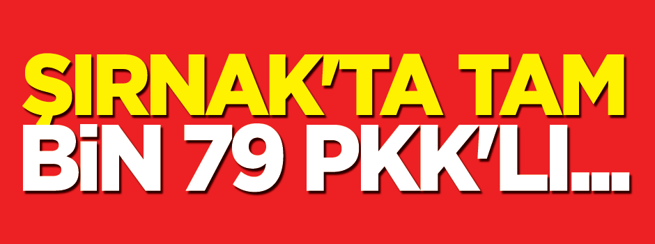 Şırnak'ta tam bin 79 PKK'lı...