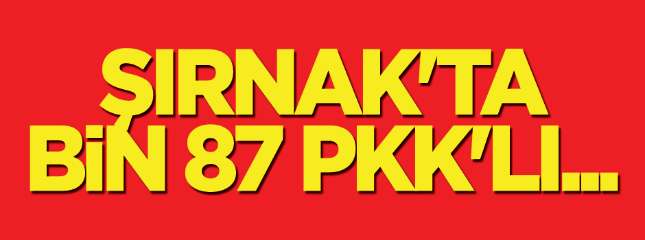 Şırnak'ta tam bin 87 PKK'lı...