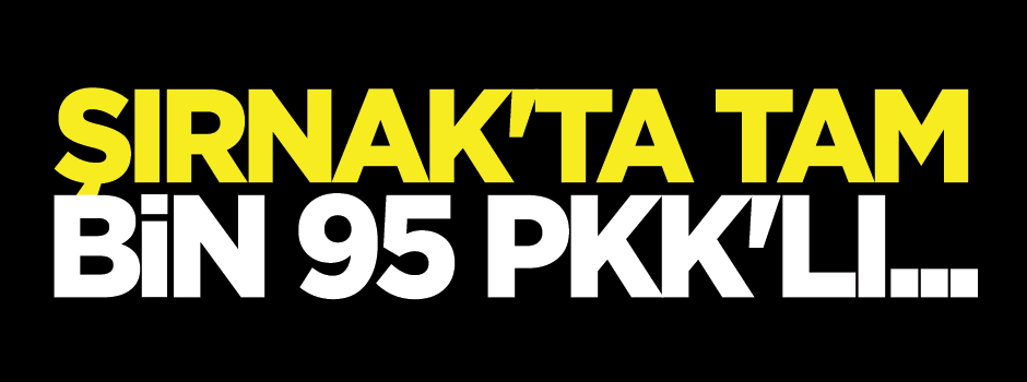 Şırnak'ta tam, bin 95 PKK'lı...