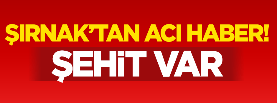 Şırnak'ta yangın: 1 şehit