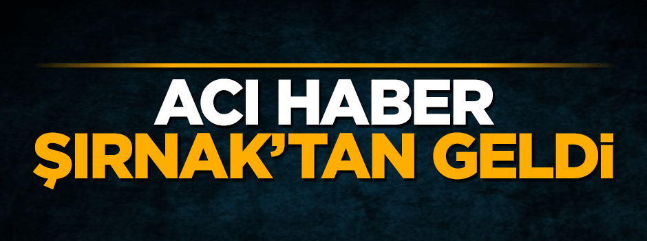 Şırnak'tan acı haber geldi: 1 asker şehit