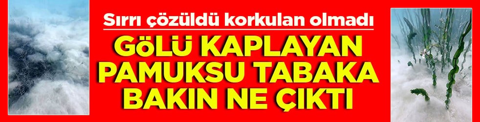 Sırrı çözüldü korkulan olmadı Gölü kaplayan pamuksu tabaka bakın ne çıktı
