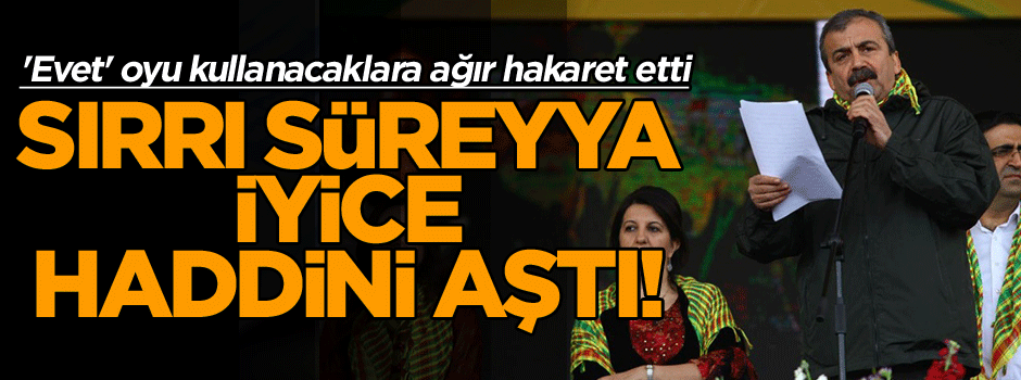 Sırrı Süreyya iyice haddini aştı! 'Evet' oyu kullanacaklara ağır hakaret etti