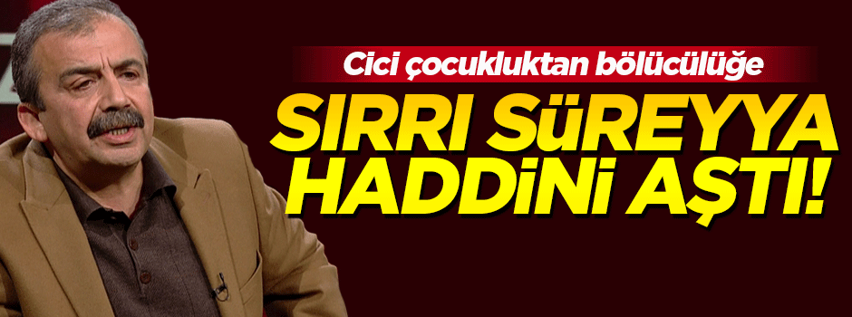 Sırrı Süreyya Önder: O gün bu ülkenin bölündüğü gün olacak