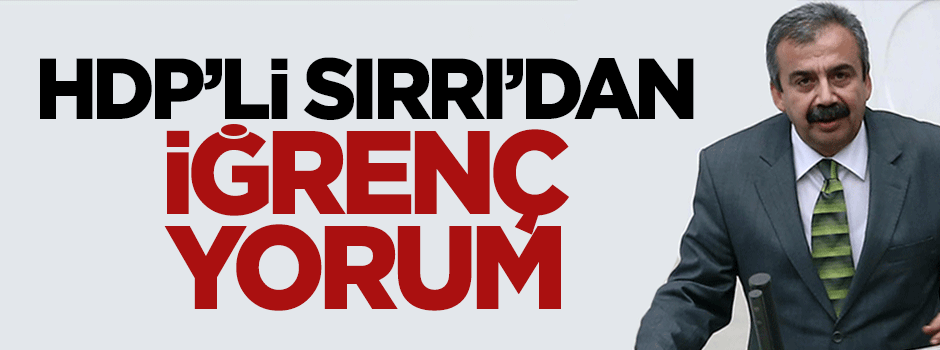 Sırrı Süreyya Önder'den iğrenç yorum