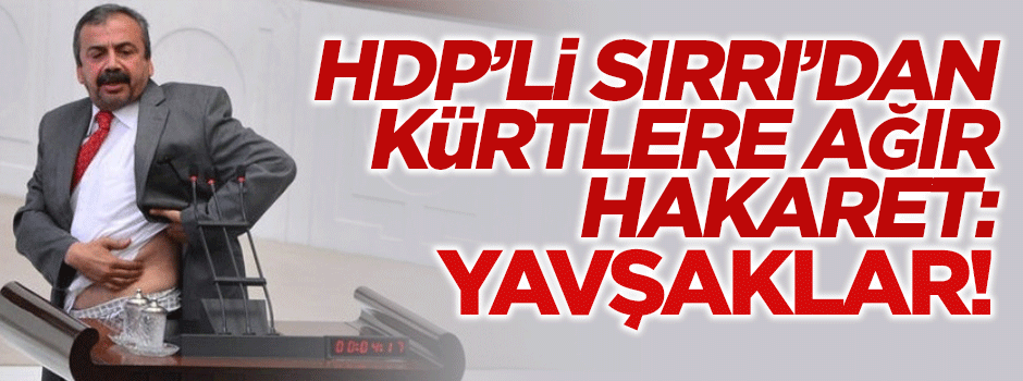 Sırrı Süreyya Önder'den Kürtlere ağır hakaret: Yavş..lar!