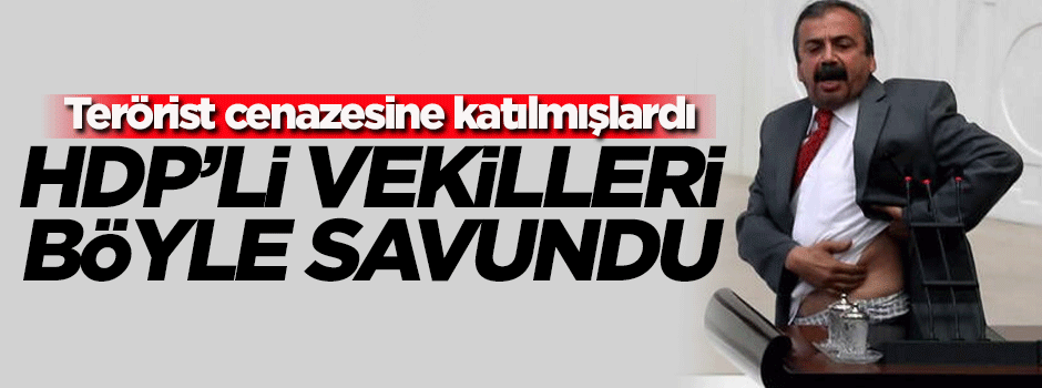 Sırrı Süreyya Önder'den pişkin cevap! Terörist cenazelerine...