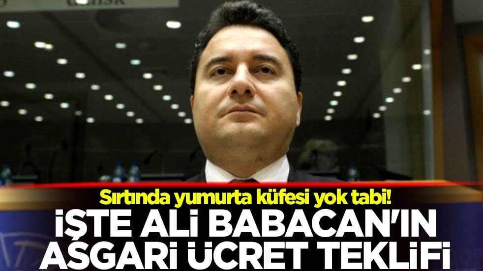 Sırtında yumurta küfesi yok tabi! İşte Ali Babacan'ın asgari ücret teklifi