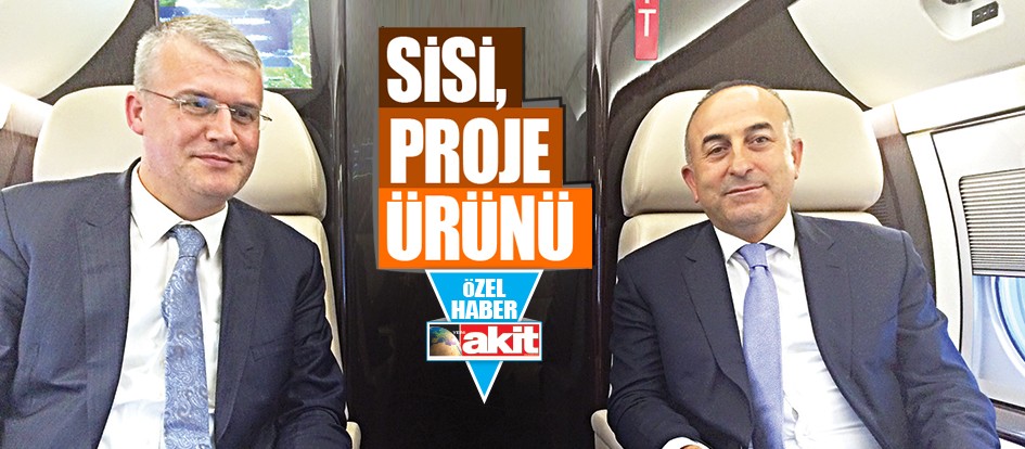 Sisi, proje ürünü