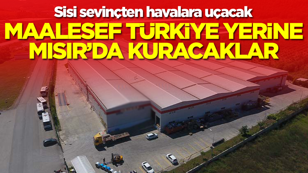 Sisi sevinçten havalara uçacak: Maalesef Türkiye yerine Mısır'da kuracaklar