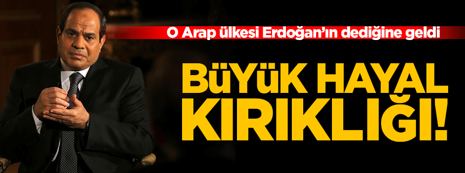 Sisi'ye 25 milyar $ veren BAE'de hayal kırıklığı