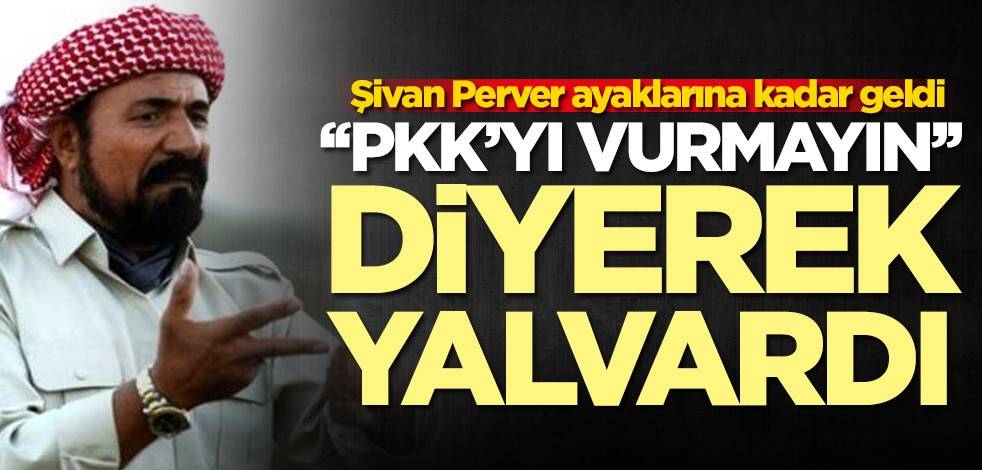 Şivan Perver ayaklarına kadar geldi! "PKK'yı vurmayın" diyerek ağladı