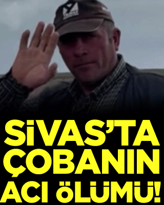 Sivas'ta çobanın acı ölümü!