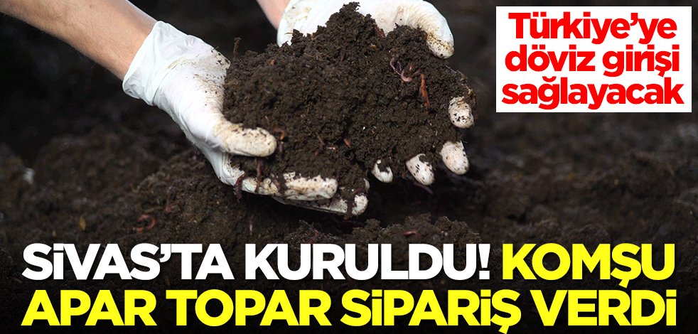 Sivas'ta kuruldu! Komşu apar topar Türkiye'nin kapısını çaldı