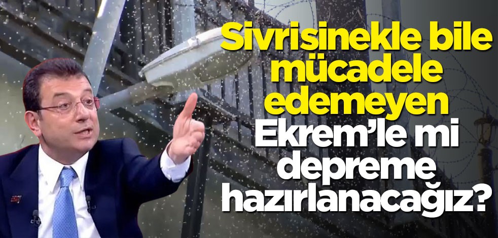 Sivrisinekle bile mücadele edemeyen Ekrem’le mi depreme hazırlanacağız?