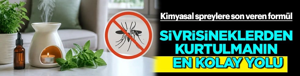 Sivrisinekleri bu koku ile bir seferde kov: Kimyasal spreylere son veren formülü açıklıyoruz.. Evde, balkonda yok ediyor