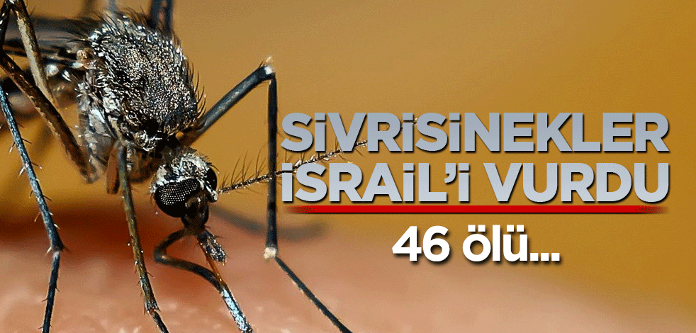 Sivrisinekler İsrail’i vurdu! 46 ölü…
