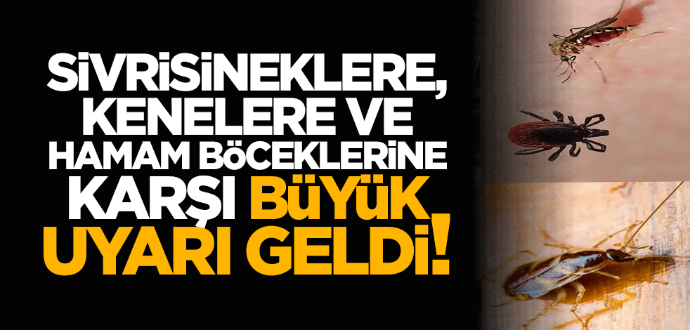 Sivrisineklere, kenelere ve hamam böceklerine karşı büyük uyarı geldi!