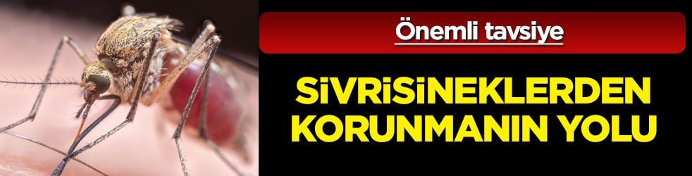 Sivrisinekleri bu sirke ile bir seferde kov: Bu yöntemi ilk kez öğreneceksiniz