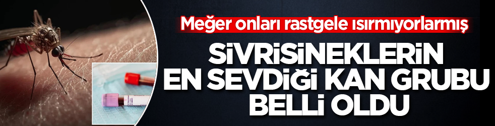 Sivrisineklerin en sevdiği kan grubu belli oldu: Meğer onları rastgele ısırmıyorlarmış