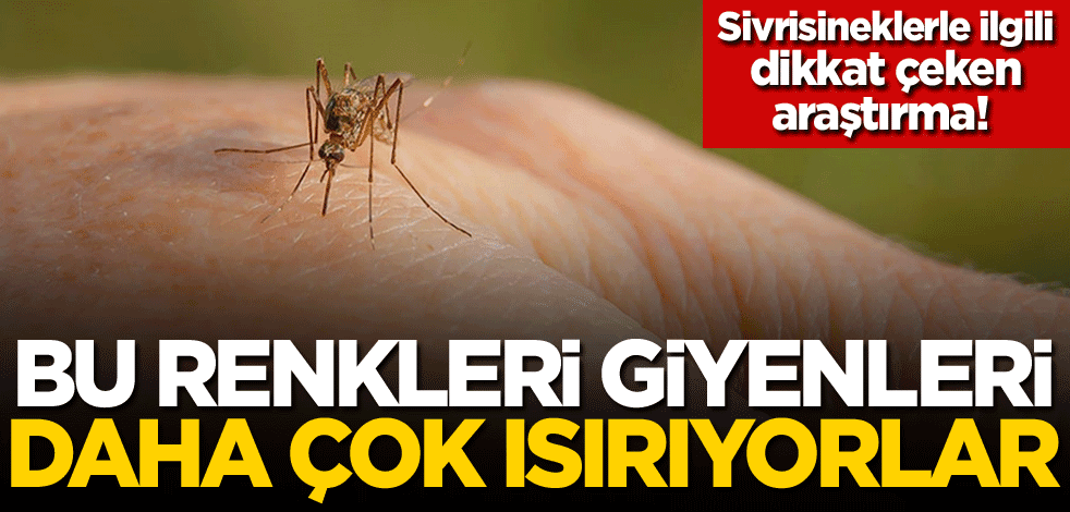 Sivrisineklerle ilgili dikkat çeken araştırma! Bu renkleri giyenleri daha çok ısırıyorlar