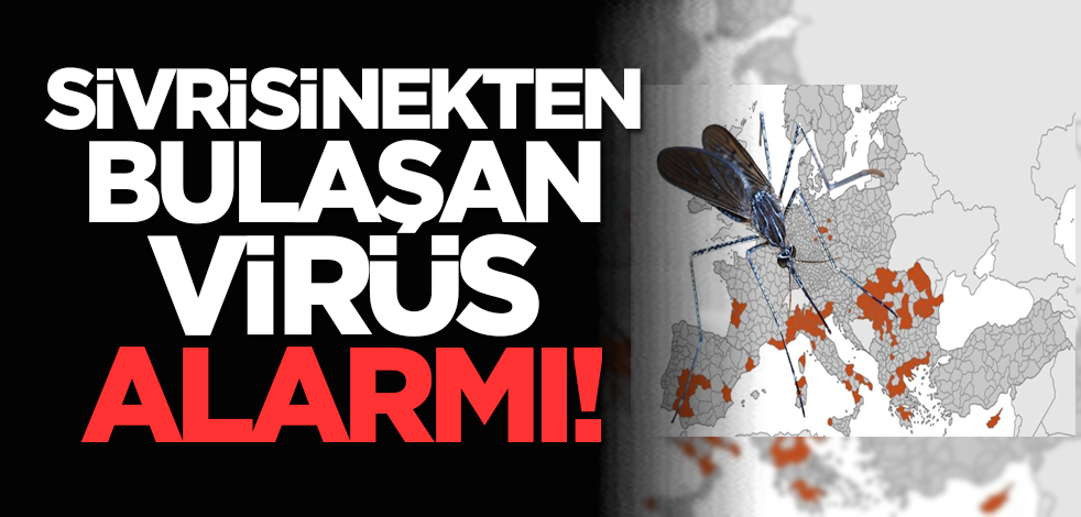 Sivrisinekten bulaşan virüs alarmı!