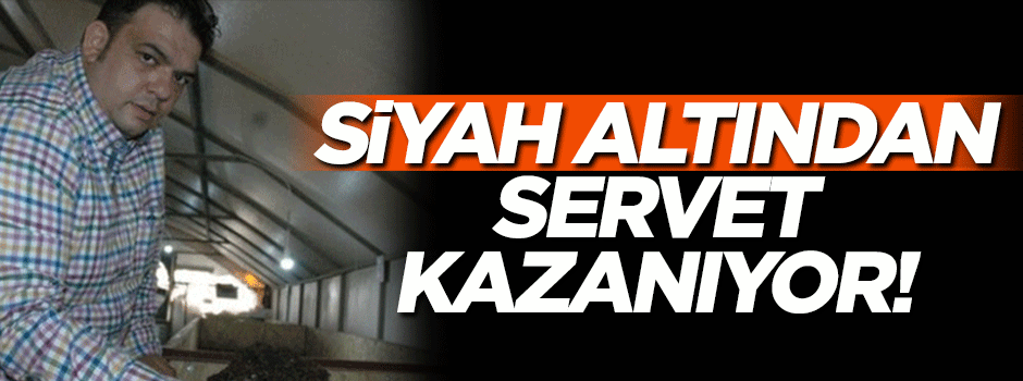 Siyah altından yılda on binlerce lira kazanıyor!