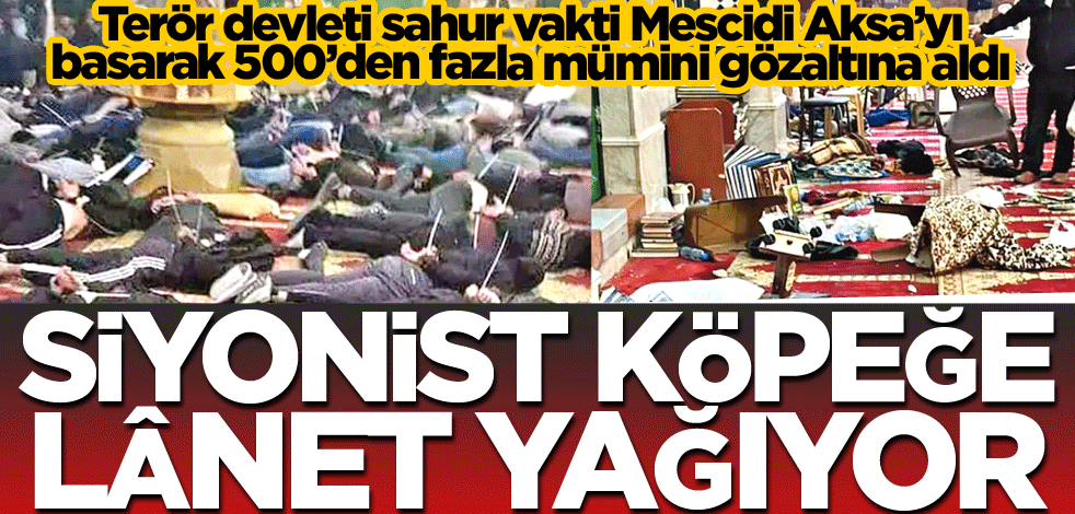 Siyonist köpeğe lânet yağıyor
