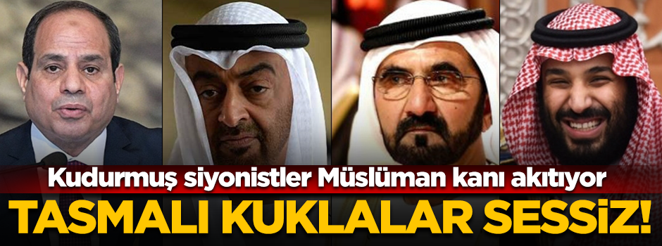 Siyonistler Müslümanları acımasızca katlediyor, kuklalar sessiz!