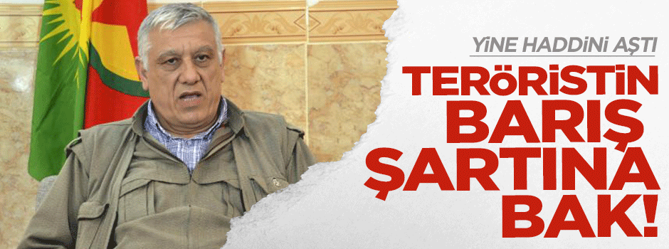 Terörist Bayık: Siz Apo'yu bırakın biz silahı!