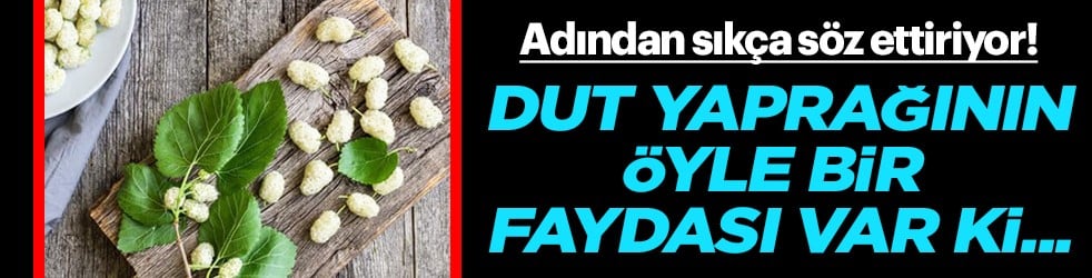 Siz bir çift dut yaprağını suya bırakın: Şiddetli baş ağrısına iyi geliyor... Şifalar veren çayın gizli sırrı 