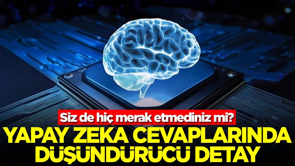 Siz de hiç merak etmediniz mi? Yapay zeka cevaplarında düşündüren detay
