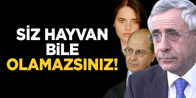 Siz hayvan bile olamazsınız!