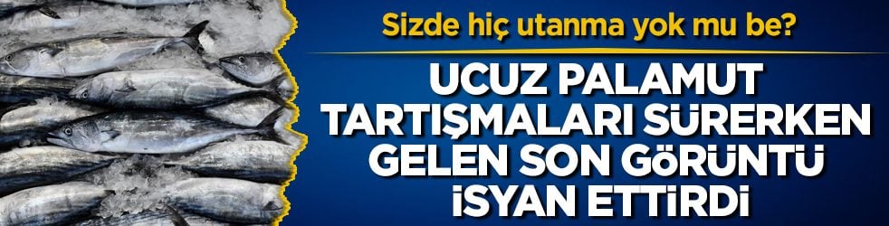 Sizde hiç utanma yok mu be? Ucuz palamut tartışmaları sürerken gelen son görüntü isyan ettirdi