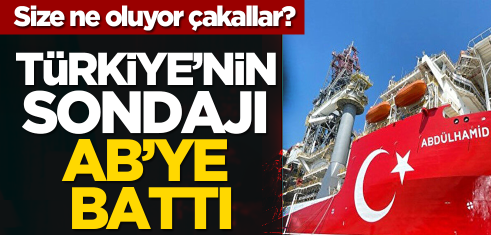 Size ne oluyor çakallar? Türkiye’nin sondajı AB’ye battı!