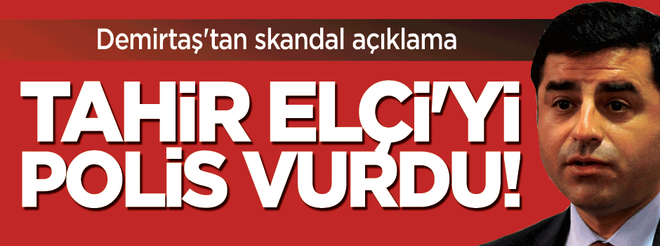 Skandal açıklama: Elçi'yi polis vurdu