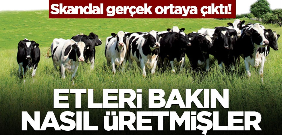 Skandal gerçek ortaya çıktı! Etleri bakın nasıl üretmişler