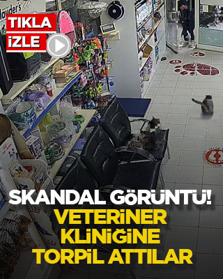 Skandal görüntü! Veteriner kliniğine torpil attılar