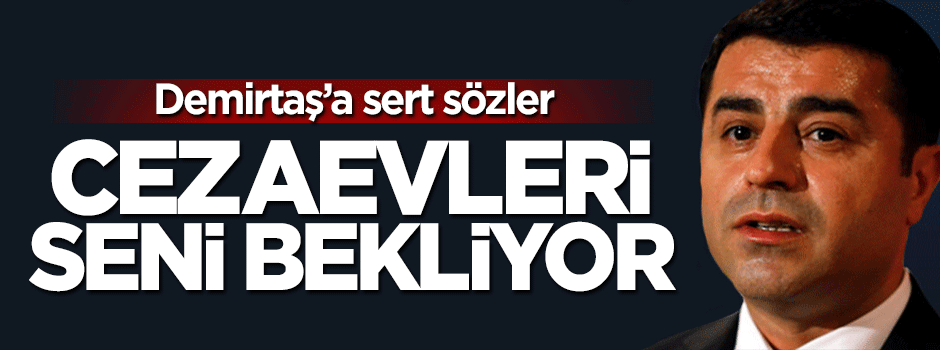Selçuk Özdağ'dan sert açıklama: Cezaevleri seni bekliyor
